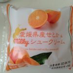 【不二家】みかんシュークリーム🍊